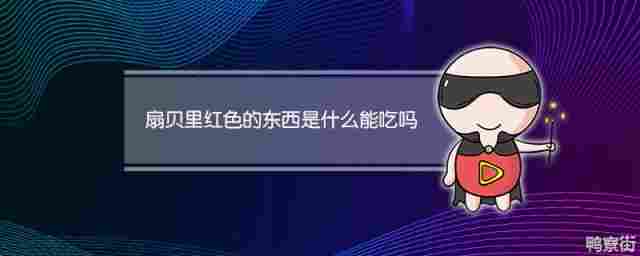 扇贝里面红色的是什么能吃吗(扇贝里面的红色的东西是什么,可以吃吗?)